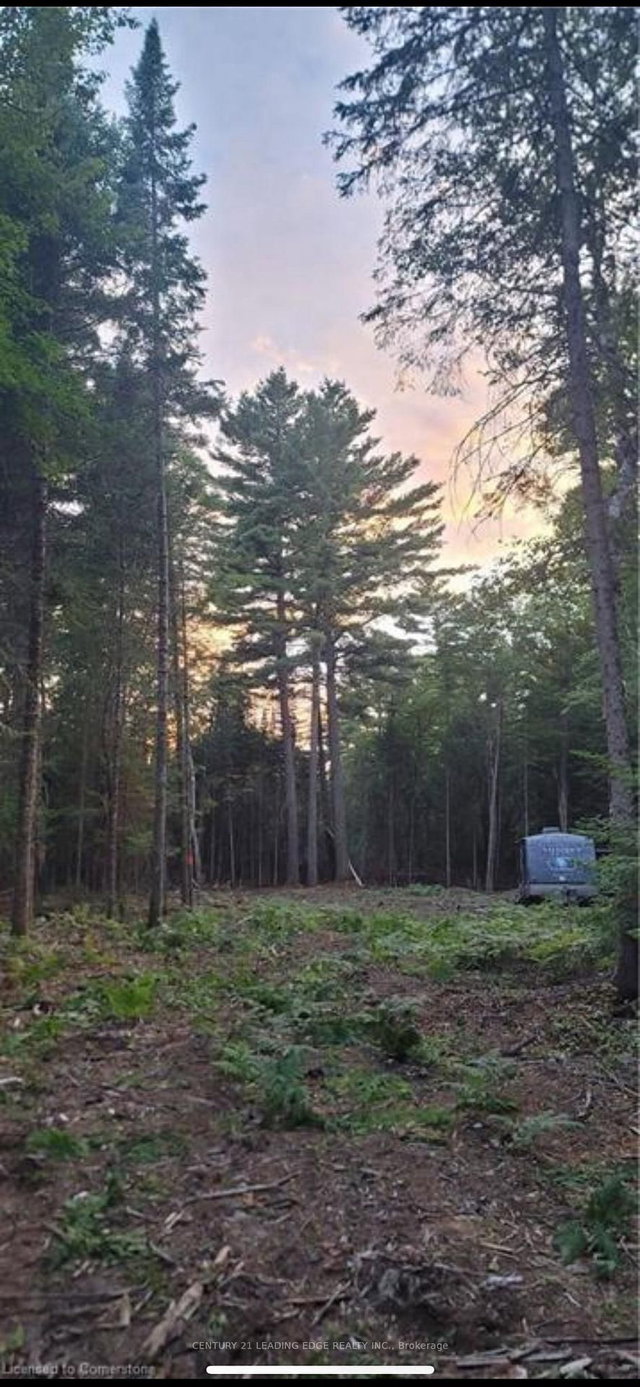 NA Dwight Beach Road