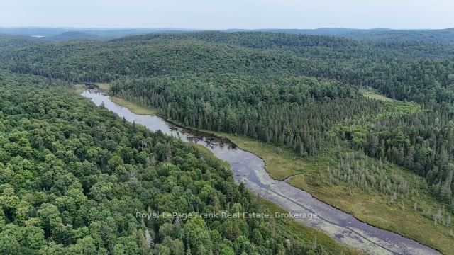 905 & 841 North McKenzie Lake Road • South Algonquin, ON photo 10
