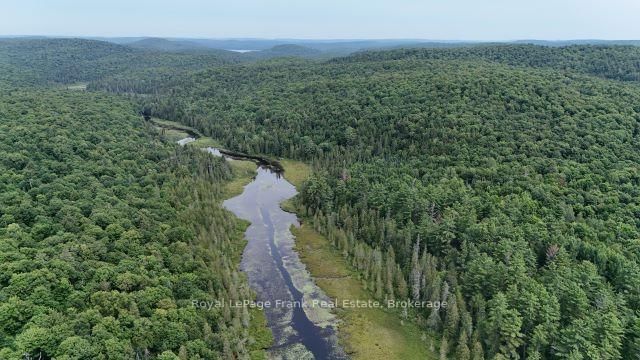 905 & 841 North McKenzie Lake Road • South Algonquin, ON photo 11