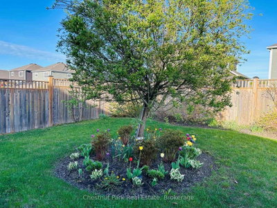 5 Hunter Place — photo 5
