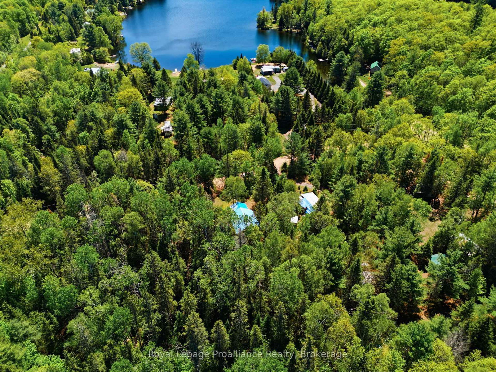 339 Little Finch Lake Road • Cloyne, ON photo 40