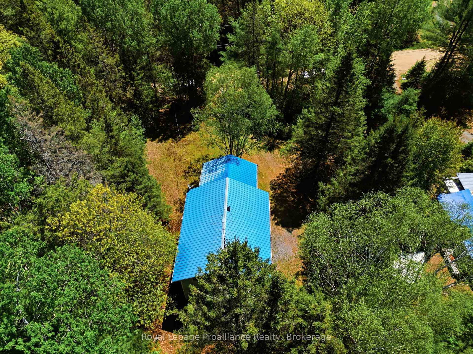 339 Little Finch Lake Road • Cloyne, ON photo 42