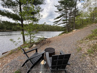 303 Nine Mile Lake • Muskoka Lakes, ON photo 8