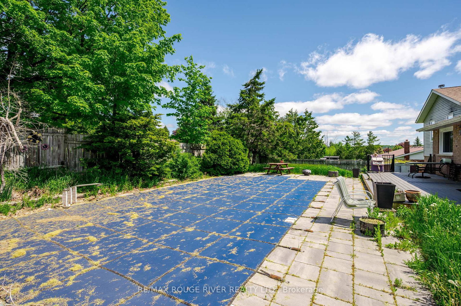 264 Clonakilty Line • Selwyn, ON photo 37