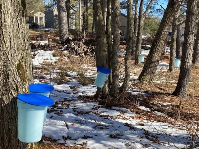 121 Rattlebear Drive • The Archipelago, ON photo 39