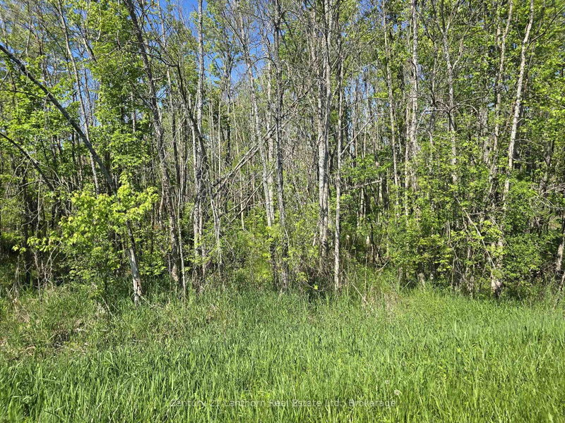 Property Sub 1
