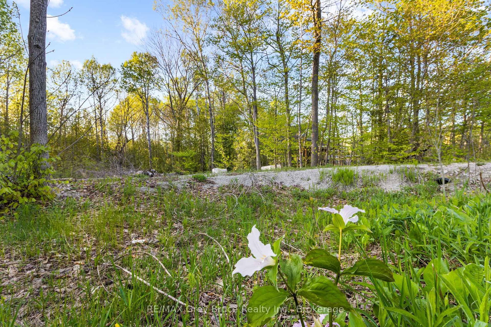 71 MAPLE Drive • Northern Bruce Peninsula, ON photo 10
