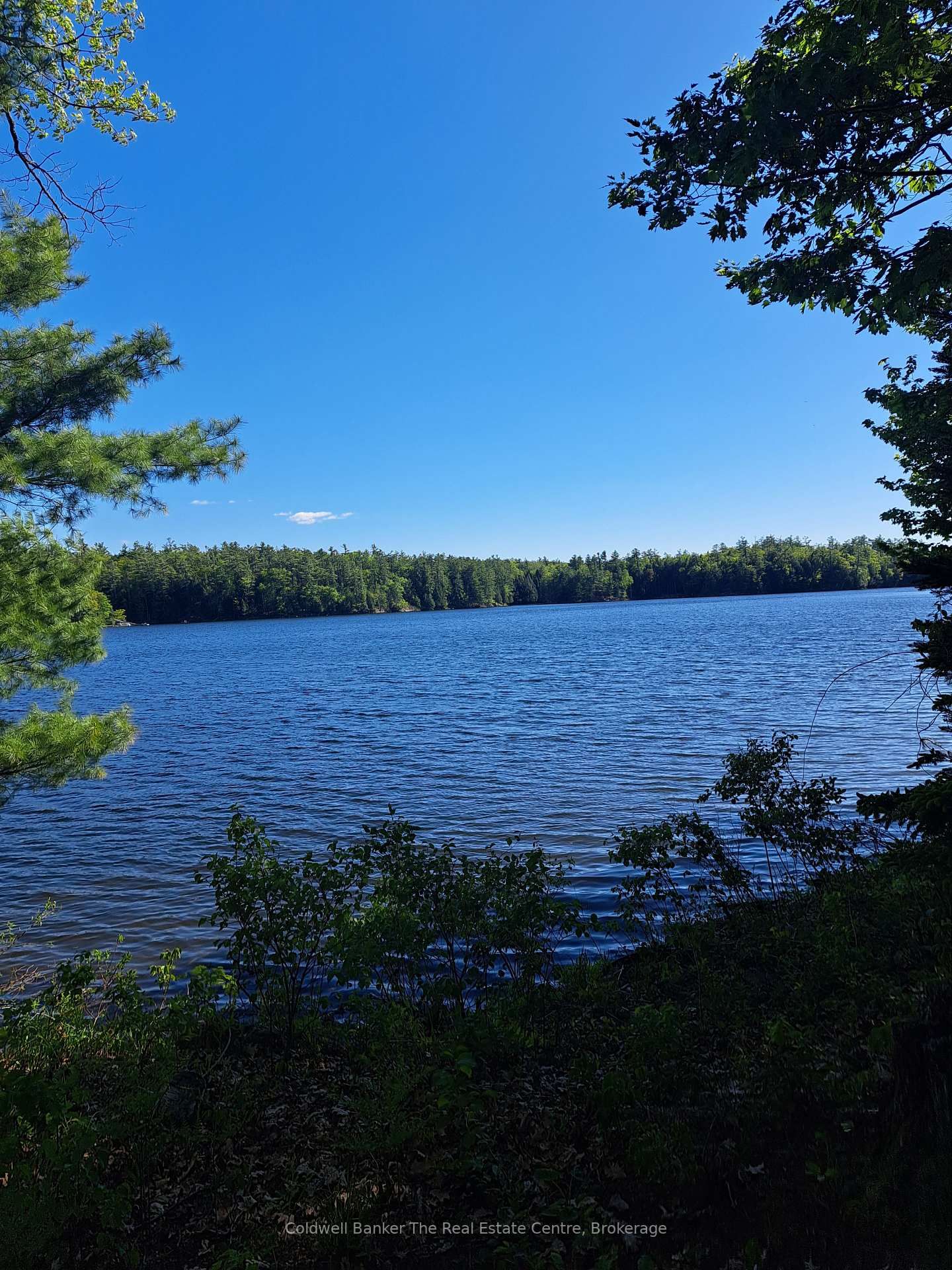 1319 West Lions Head Road • Gravenhurst, ON photo 36
