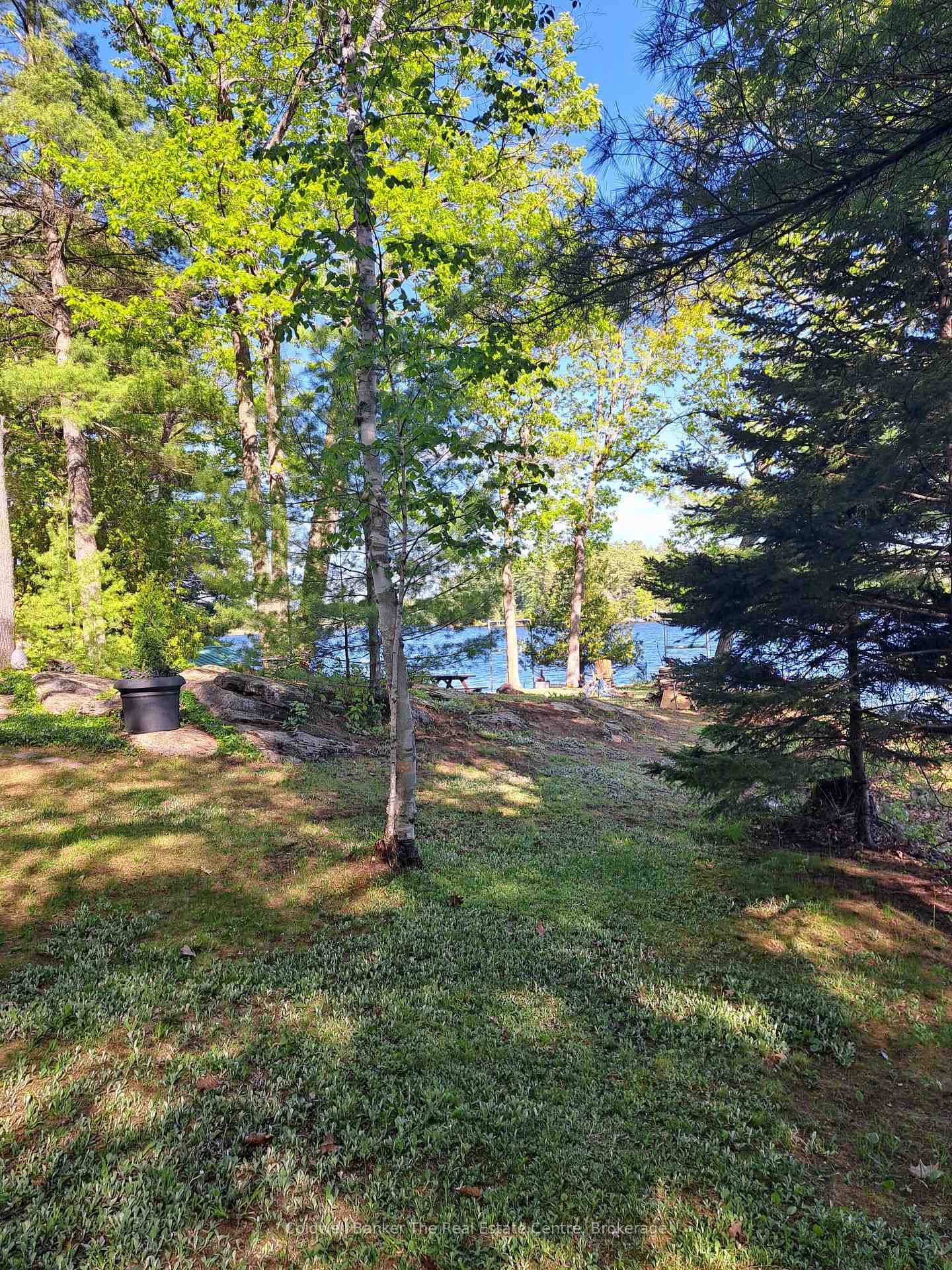 1319 West Lions Head Road • Gravenhurst, ON photo 41