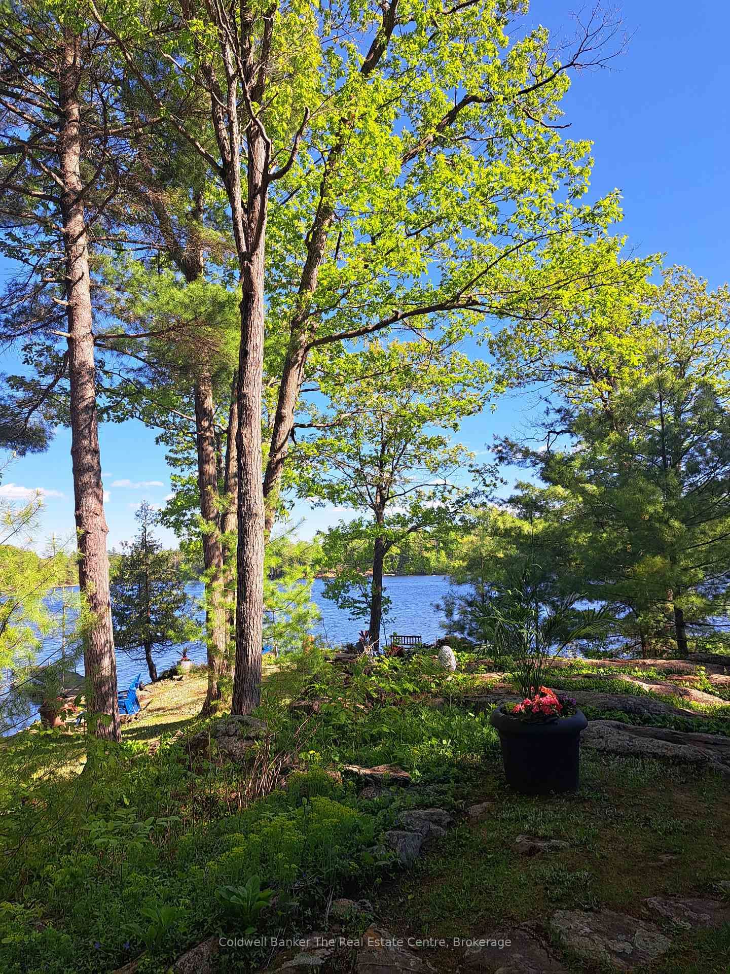 1319 West Lions Head Road • Gravenhurst, ON photo 44