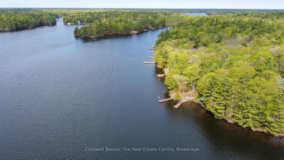 1319 West Lions Head Road • Gravenhurst, ON photo 8