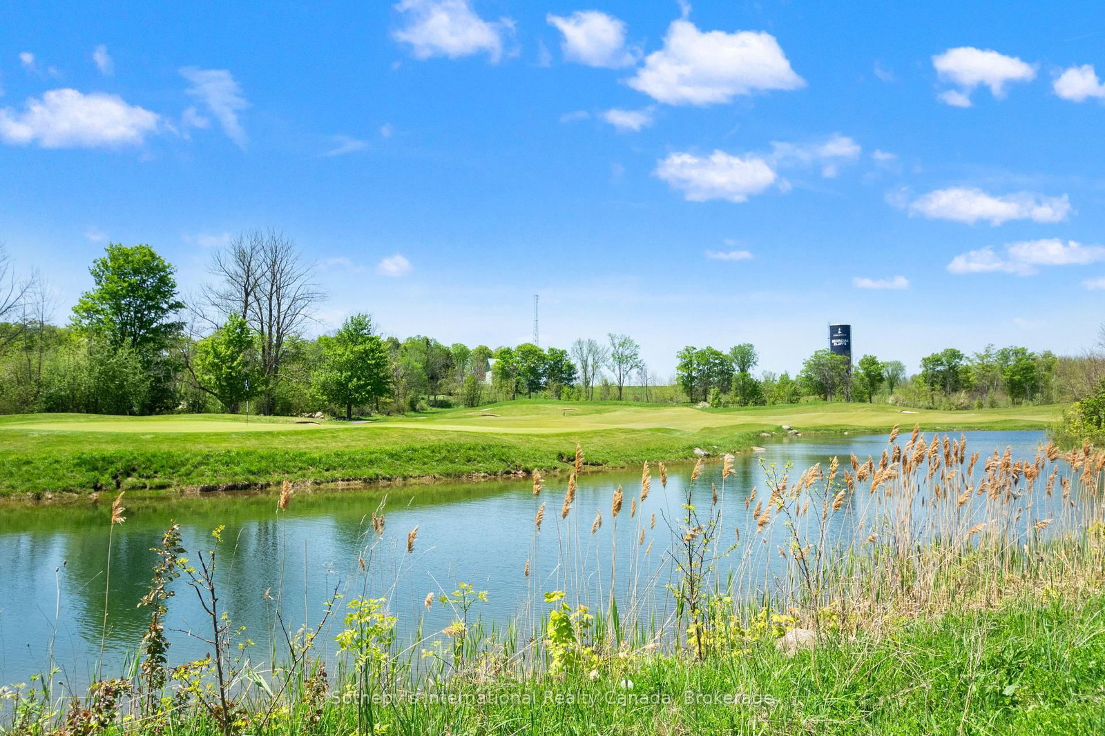 208 Snowberry Lane • Georgian Bluffs, ON photo 39