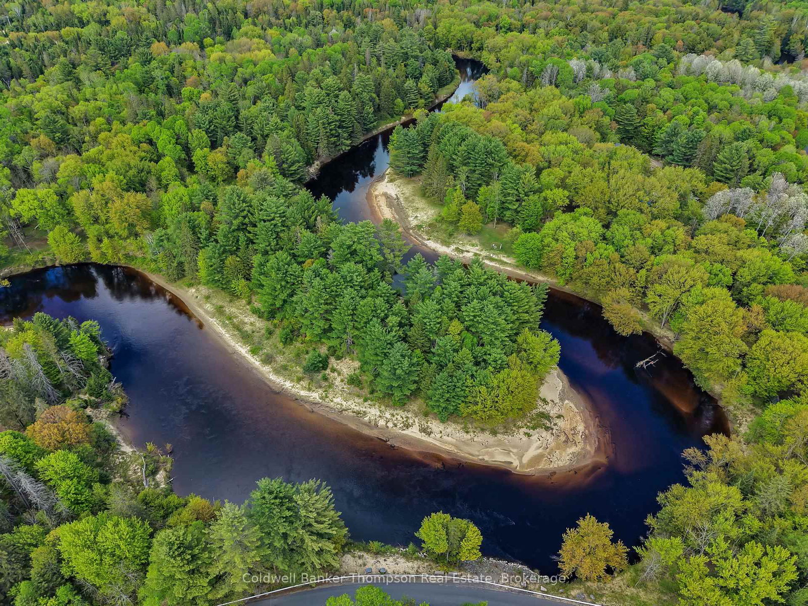 247 OLD NORTH Road • Huntsville, ON photo 42