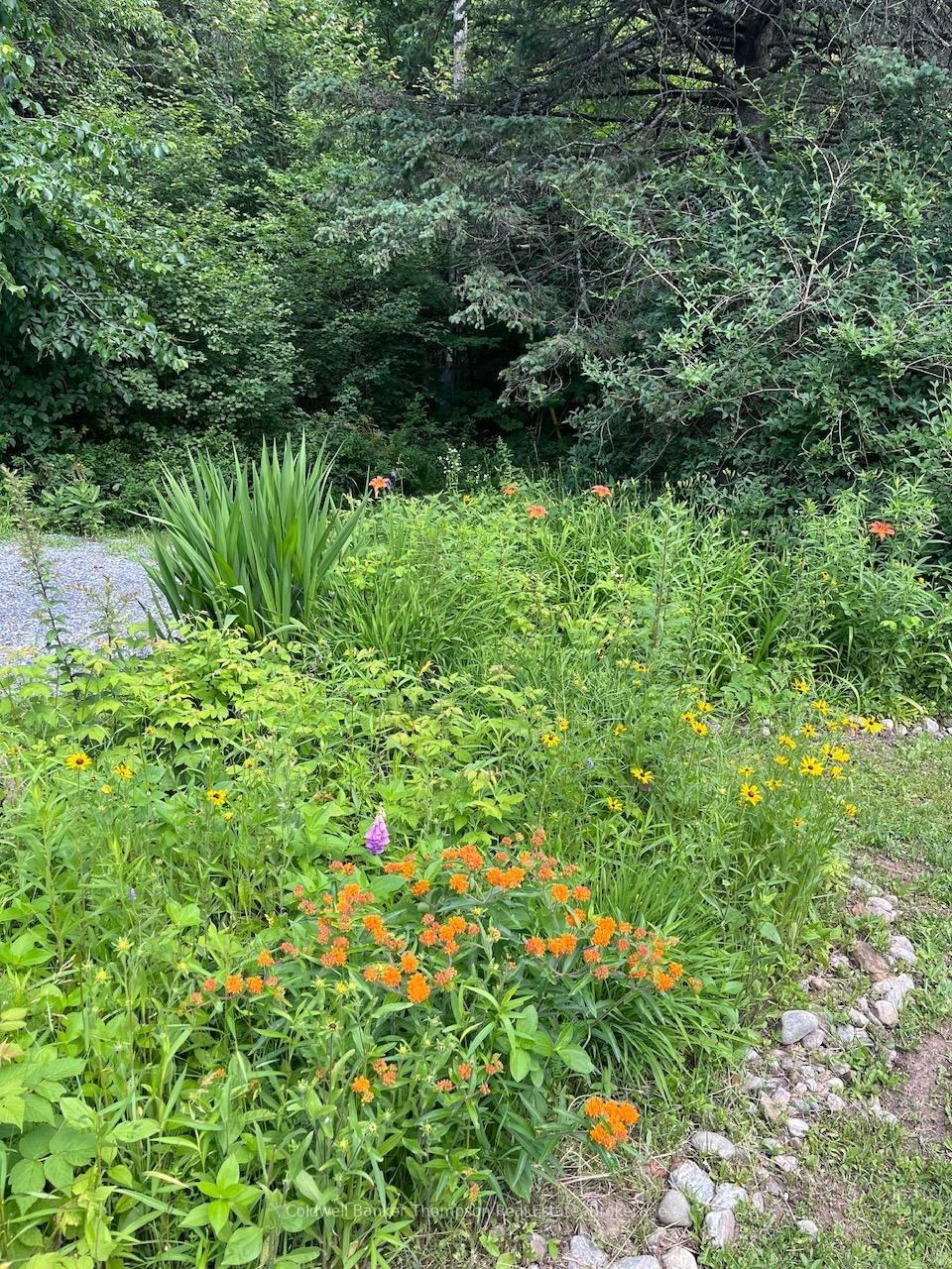 247 OLD NORTH Road • Huntsville, ON photo 46