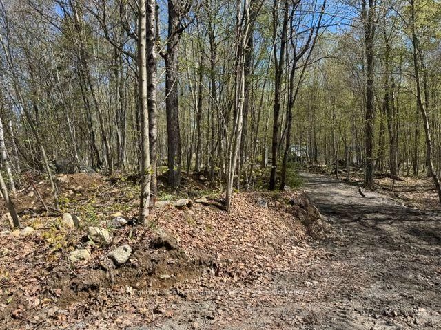 152 Pettit Lane • Kearney, ON photo 2