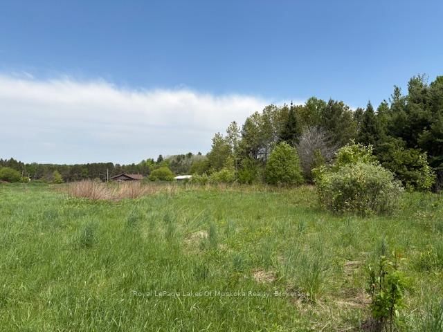 351 Ravenscliffe Road • Huntsville, ON photo 16