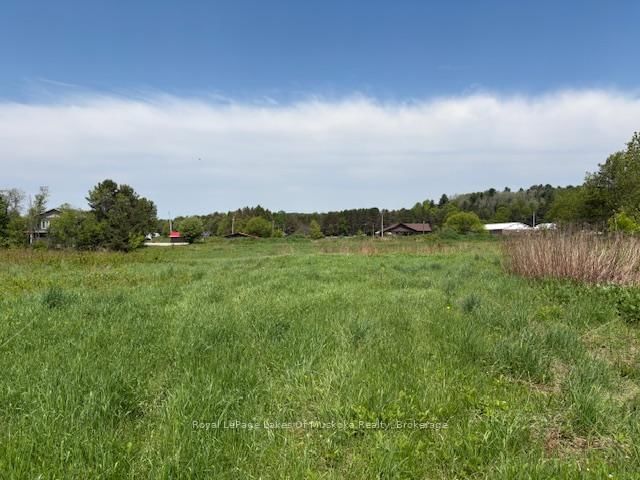 351 Ravenscliffe Road • Huntsville, ON photo 19