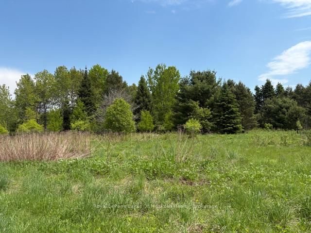 351 Ravenscliffe Road • Huntsville, ON photo 21