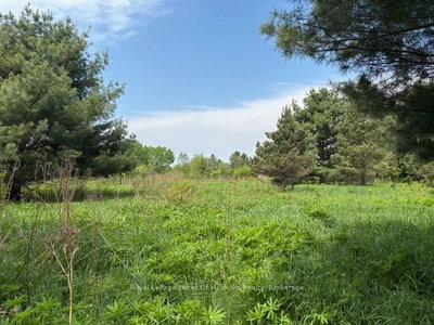 351 Ravenscliffe Road • Huntsville, ON photo 5