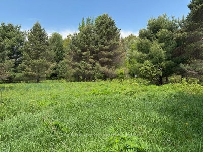 351 Ravenscliffe Road • Huntsville, ON photo 6