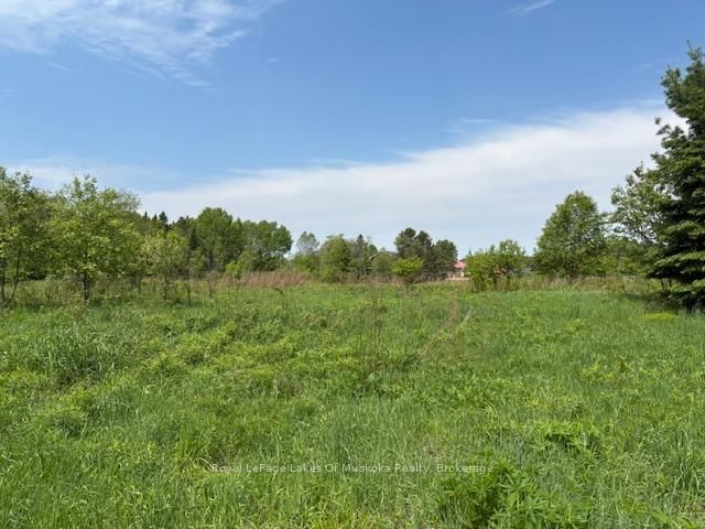 351 Ravenscliffe Road • Huntsville, ON photo 8