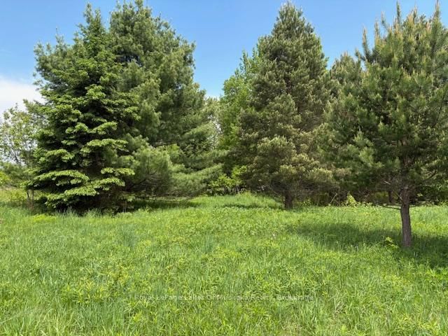 351 Ravenscliffe Road • Huntsville, ON photo 9