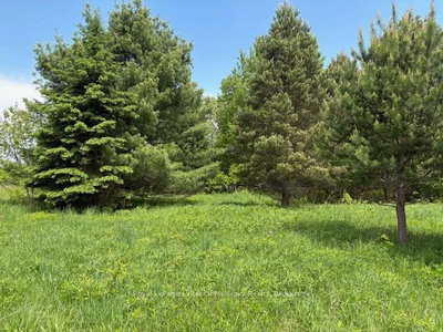 351 Ravenscliffe Road • Huntsville, ON photo 9