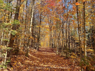 0 20th Side Road
