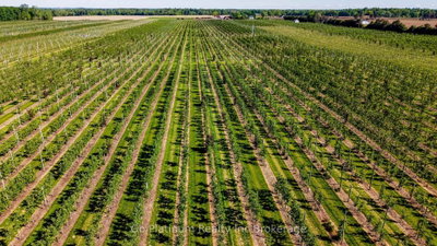 225863 Otterville Road — photo 5