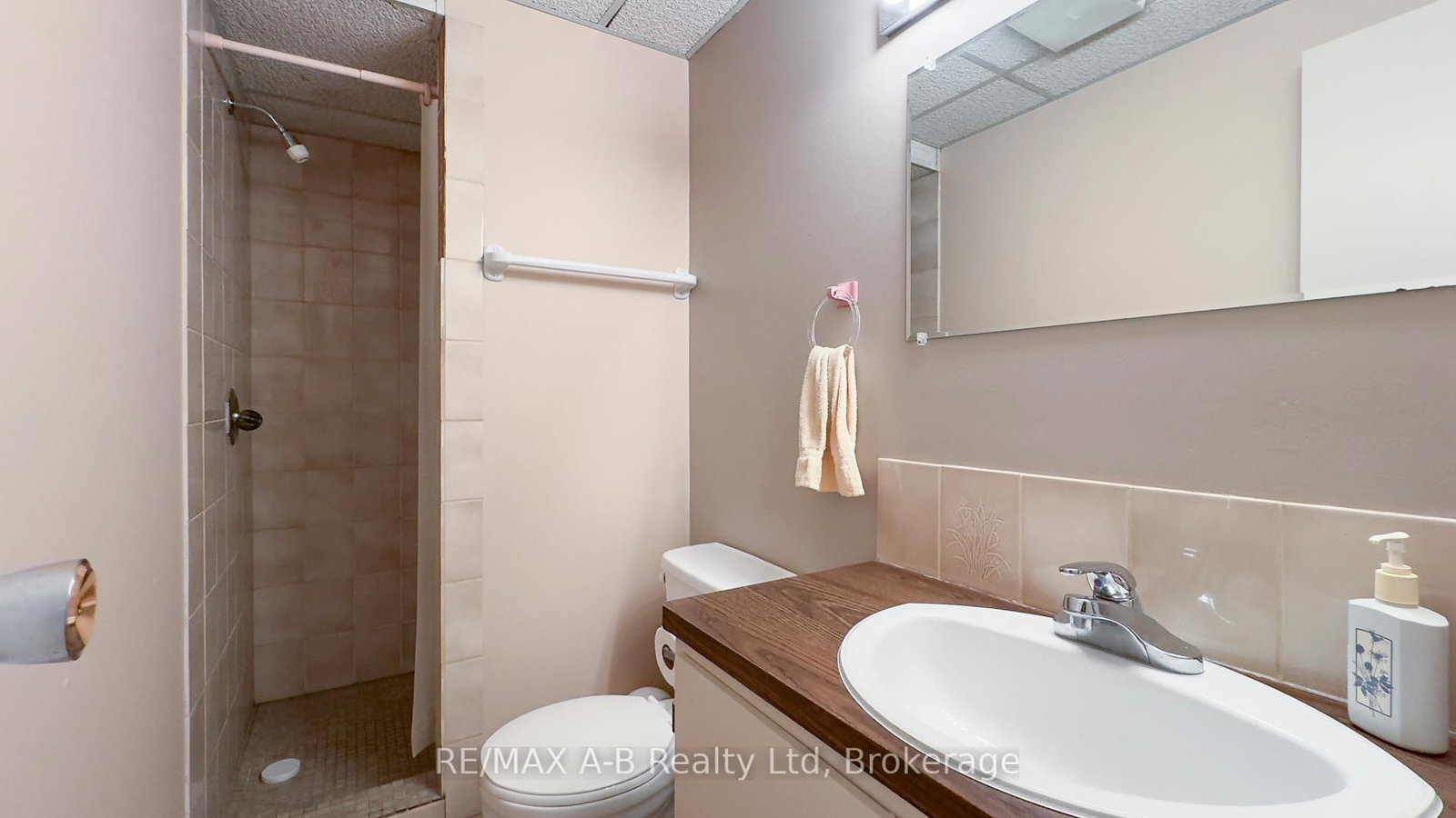 101 Middleton Street • Zorra, ON photo 35