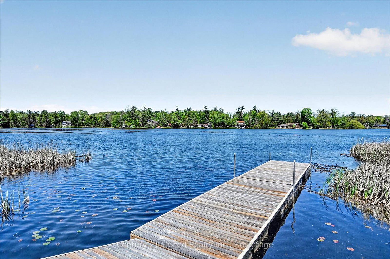 354 Marble Point Road • Limoges, ON photo 31