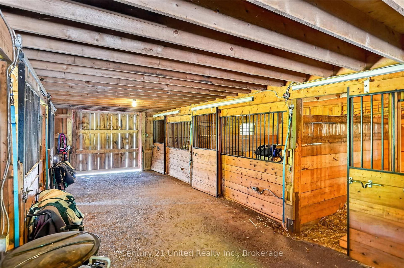 354 Marble Point Road • Limoges, ON photo 44