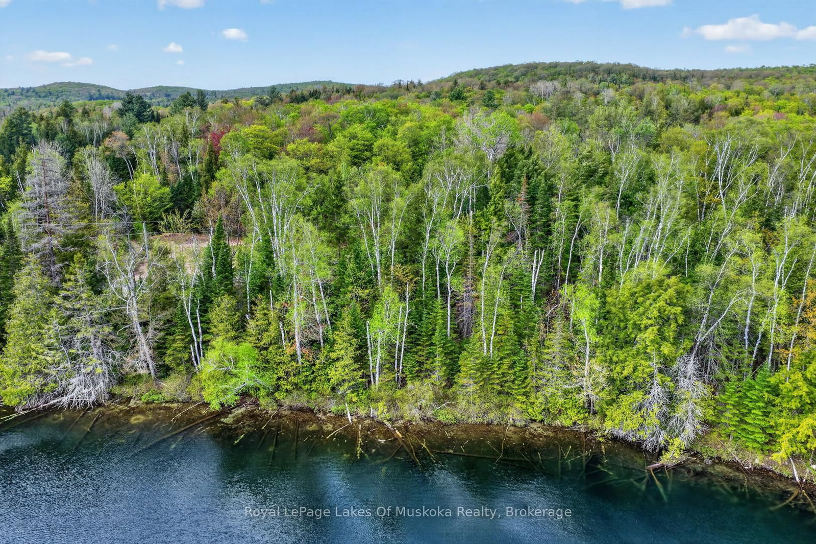Pt Lot 8 Con 7 Echo Ridge Road • Kearney, ON photo 14