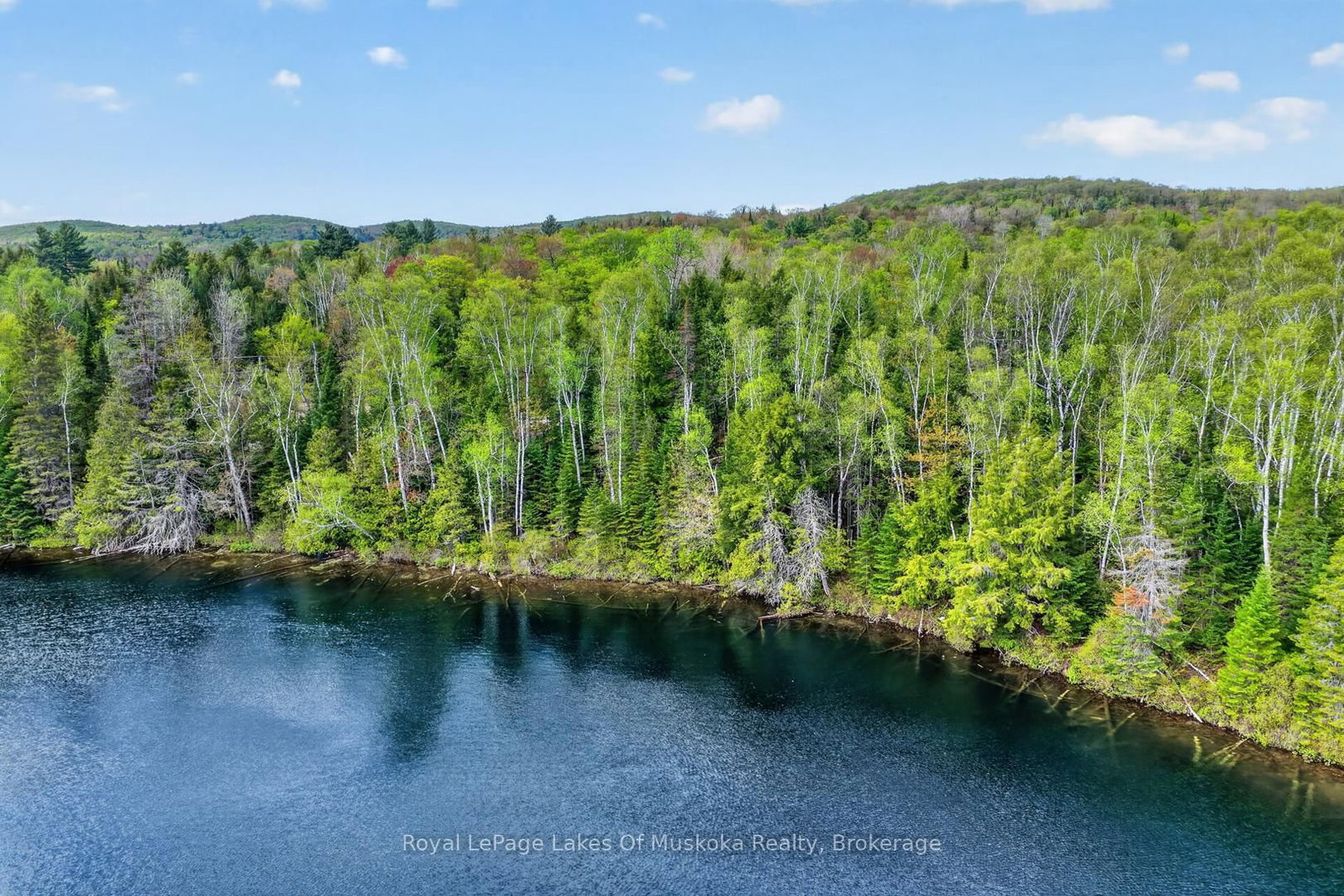 Pt Lot 8 Con 7 Echo Ridge Road • Kearney, ON photo 15