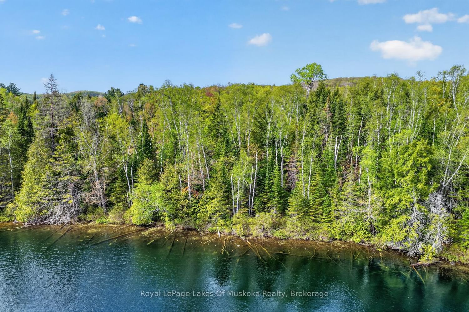 Pt Lot 8 Con 7 Echo Ridge Road • Kearney, ON photo 16