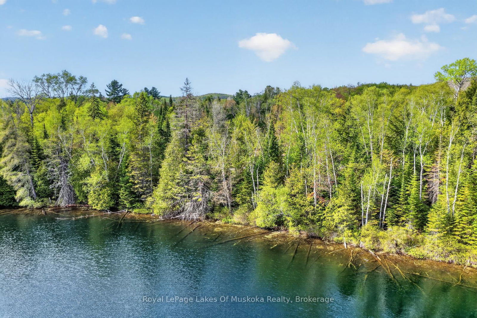 Pt Lot 8 Con 7 Echo Ridge Road • Kearney, ON photo 17