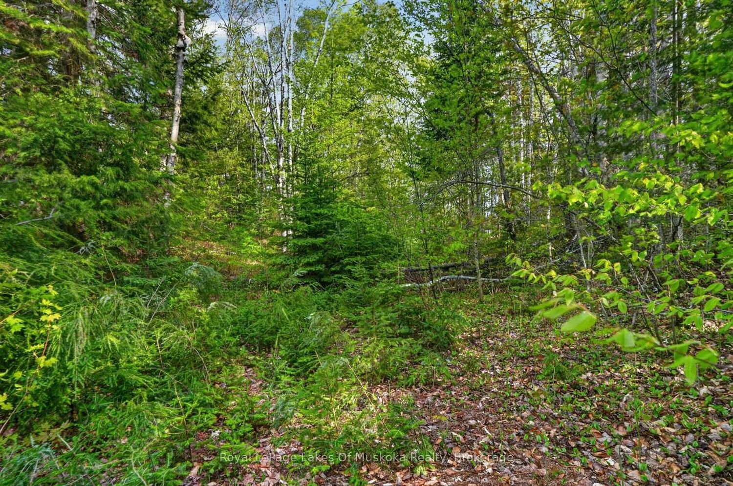 Pt Lot 8 Con 7 Echo Ridge Road • Kearney, ON photo 20
