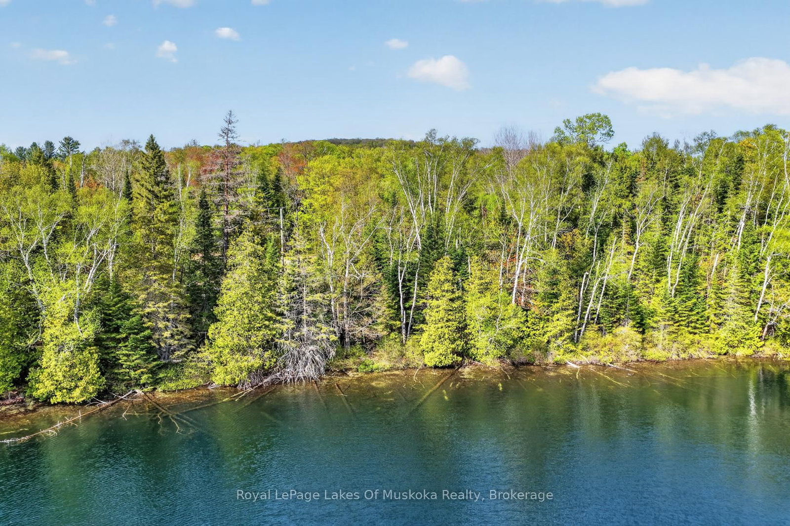 Pt Lot 8 Con 7 Echo Ridge Road • Kearney, ON photo 33