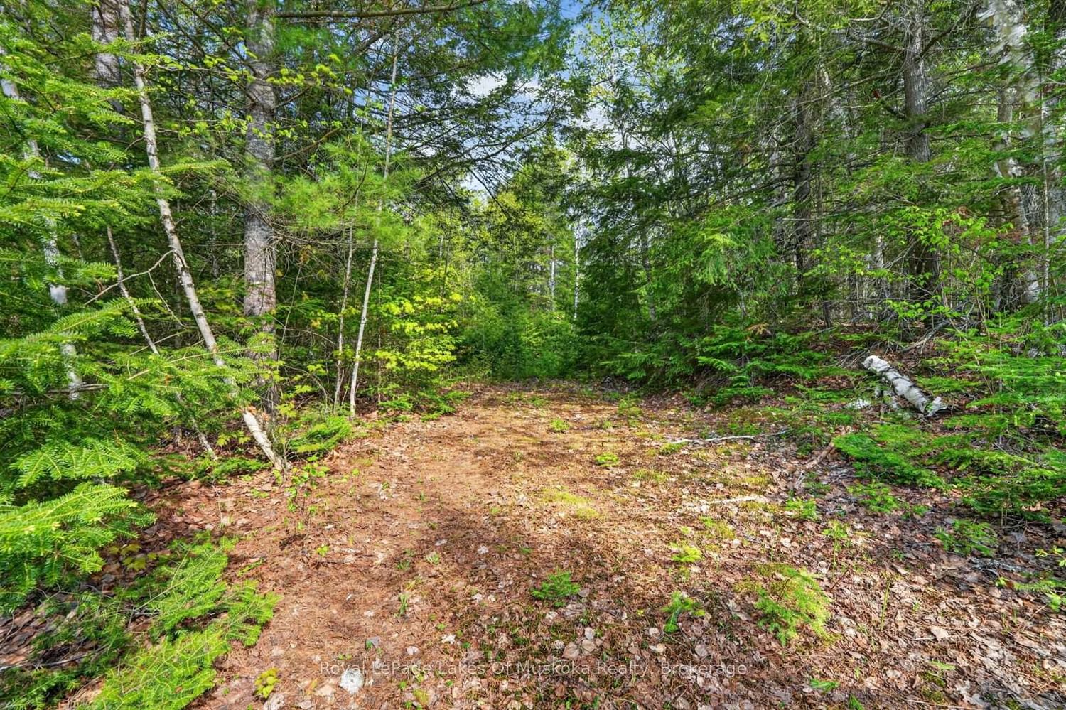 Pt Lot 8 Con 7 Echo Ridge Road • Kearney, ON photo 36
