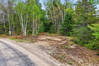 Pt Lot 8 Con 7 Echo Ridge Road • Kearney, ON photo 8
