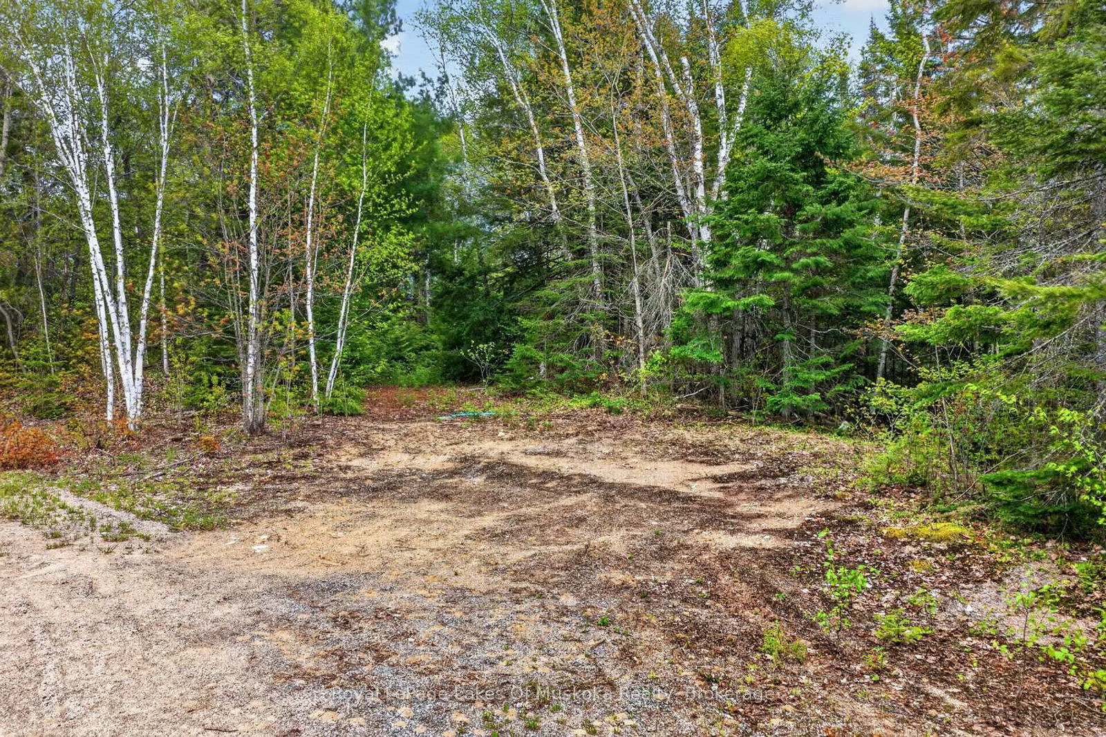 Pt Lot 8 Con 7 Echo Ridge Road • Kearney, ON photo 9