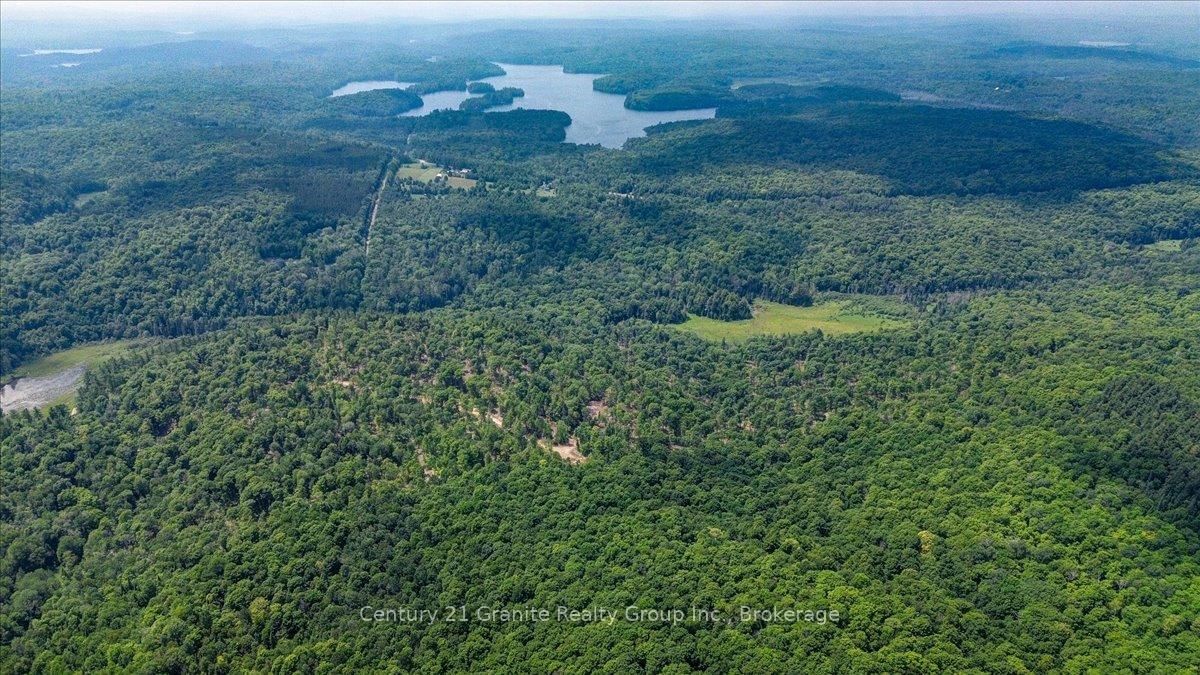 0 Airport Road • Highlands East, ON photo 10