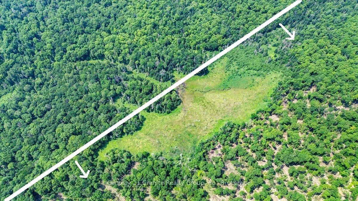 0 Airport Road • Highlands East, ON photo 16