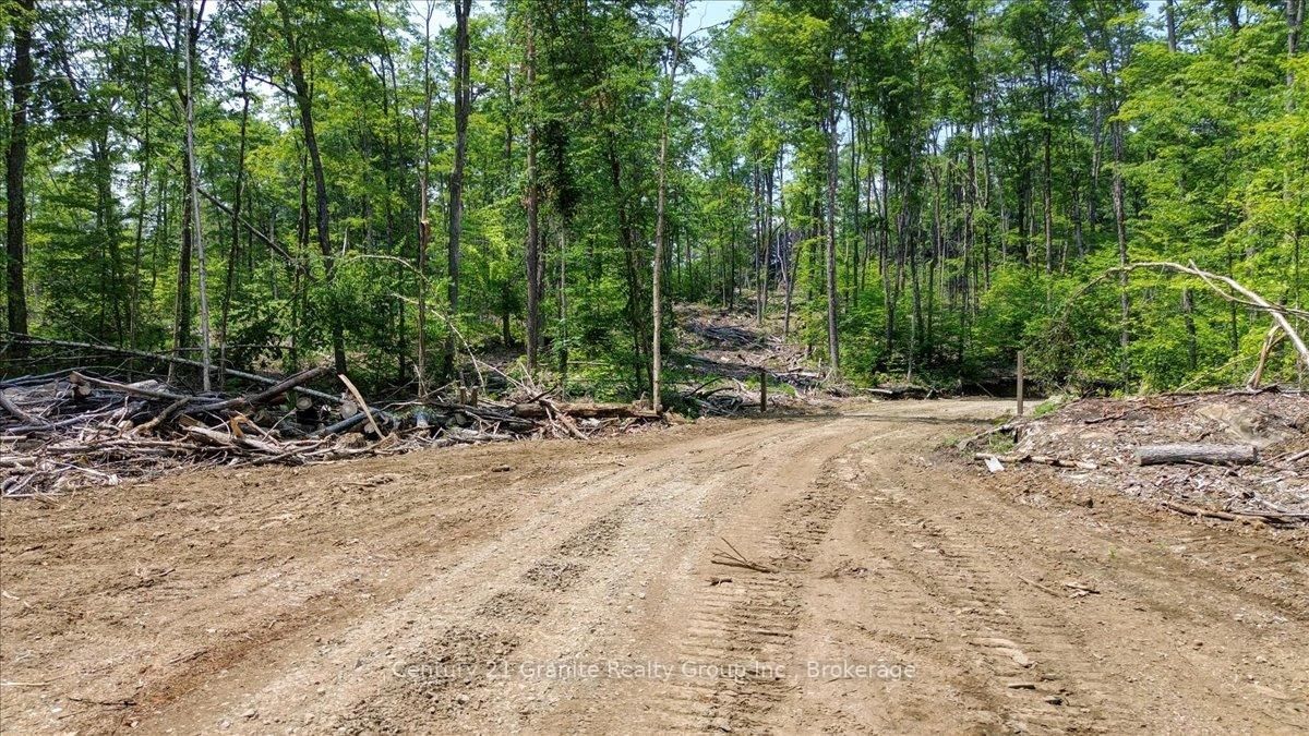 0 Airport Road • Highlands East, ON photo 18