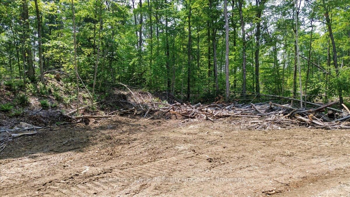 0 Airport Road • Highlands East, ON photo 19