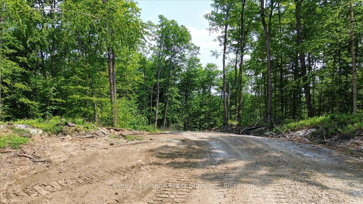 0 Airport Road • Highlands East, ON photo 20