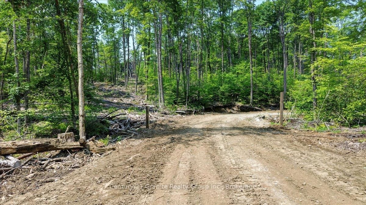 0 Airport Road • Highlands East, ON photo 21