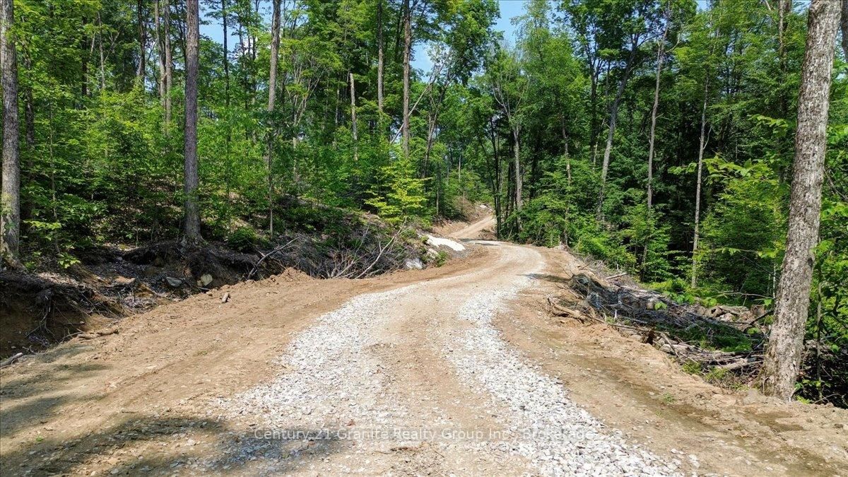 0 Airport Road • Highlands East, ON photo 23