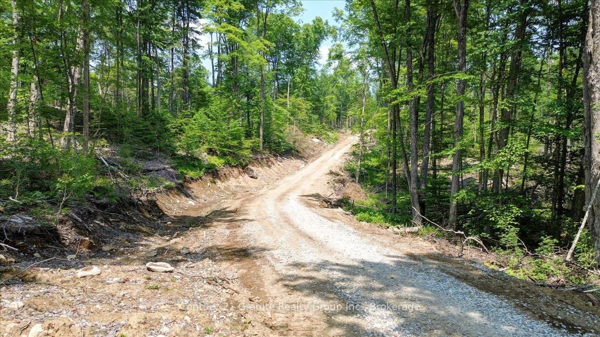 0 Airport Road • Highlands East, ON photo 24