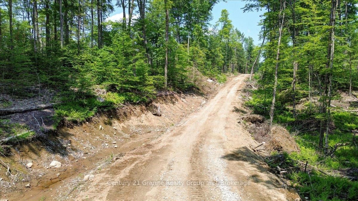 0 Airport Road • Highlands East, ON photo 25